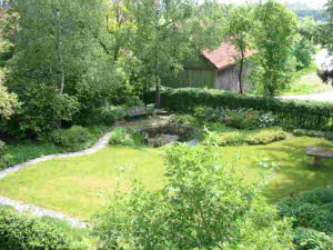 Blick v