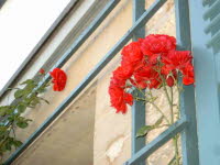 Haus Hafelden an der Haustre