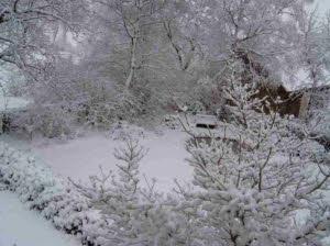 Winter 2007