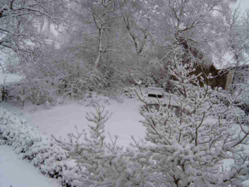 Winter 2007